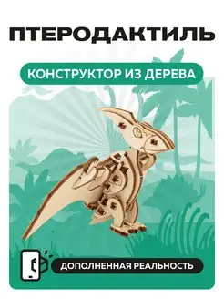 Отзыв на 