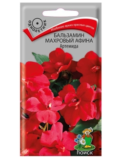 Отзыв на Семена Бальзамин махровый Афина Артемида 5семян в пакете.