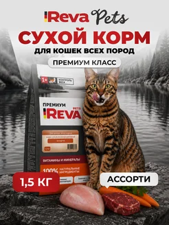 Отзыв на 