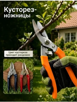 Отзыв на 