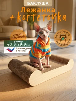 Отзыв на 