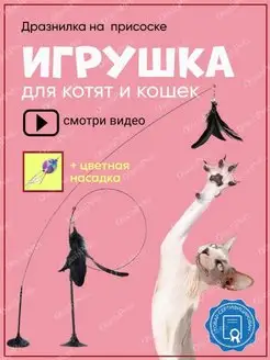 Отзыв на 
