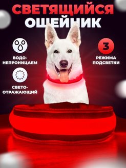 Отзыв на Светящийся ошейник для собак и кошек средних пород