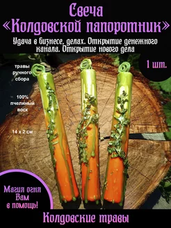 Отзыв на 