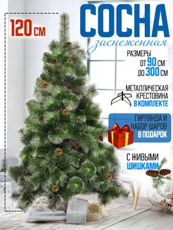 Отзыв на 