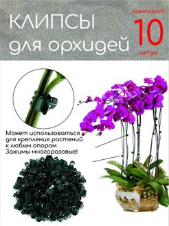 Отзыв на Клипсы для орхидей Держатель для растений Прищепки рассады