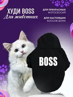 Отзыв на 