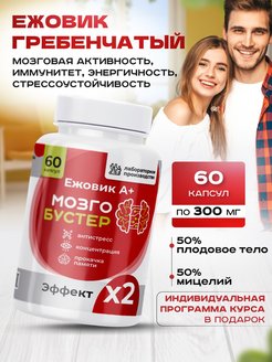 Отзыв на Гриб ежовик гребенчатый мицелий капсулы