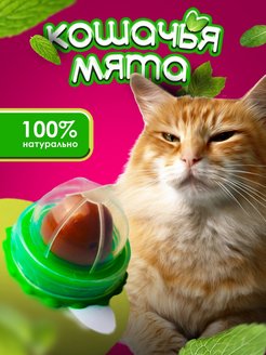 Отзыв на Леденец для кошек с кошачьей мятой кошачья мята лакомство