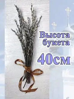 Отзыв на Верба пасхальная живая для Пасхи букет вербы