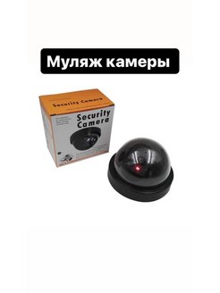 Отзыв на Видеоняня , Радионяня беспроводная