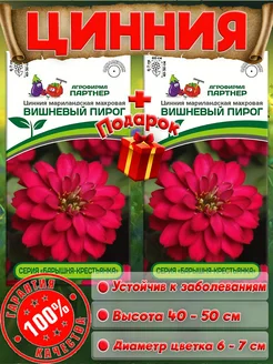 Отзыв на 