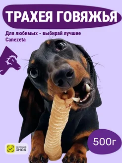 Отзыв на 
