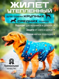 Отзыв на 