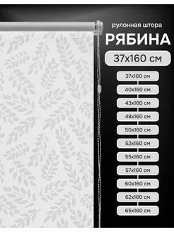 Отзыв на 