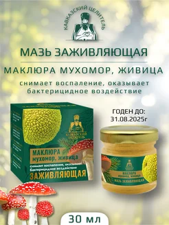 Отзыв на 