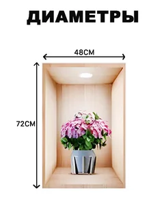 Распродажа 