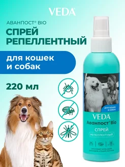Отзыв на 