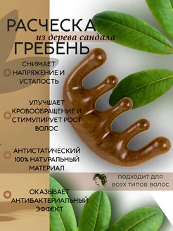 Отзыв на 