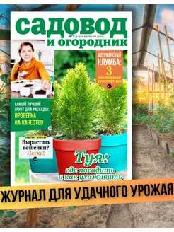 Отзыв на 