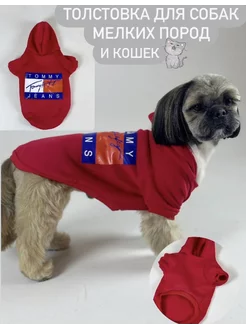 Отзыв на 
