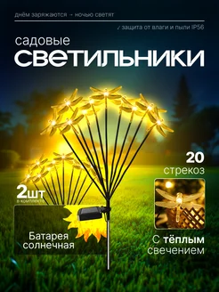 Отзыв на 