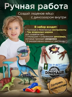 Отзыв на 