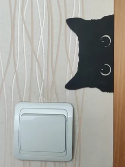 Отзыв на 