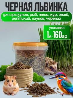 Отзыв на 