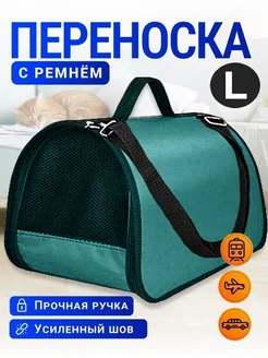 Отзыв на 