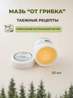 Отзыв на 