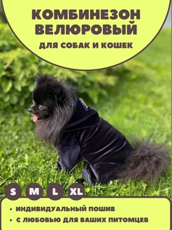 Отзыв на 