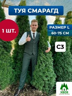 Распродажа .