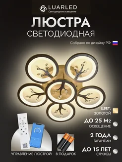 Отзыв на 