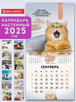 Отзыв на 