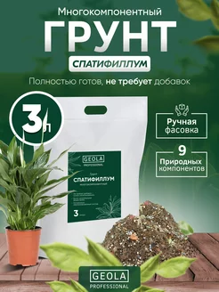 Отзыв на 