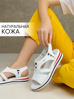Отзыв на 