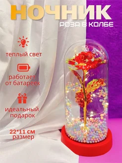 Отзыв на 