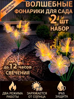 Отзыв на 