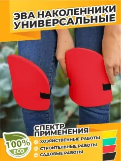 Отзыв на 