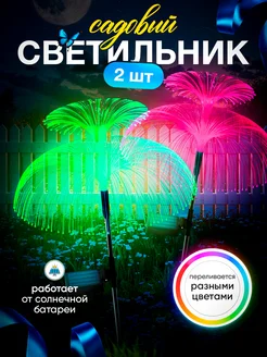 Отзыв на 
