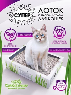 Распродажа 