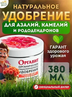 Отзыв на 