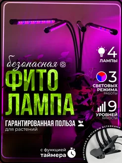 Отзыв на 