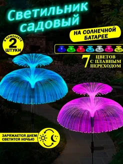 Отзыв на 
