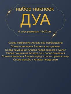 Отзыв на 
