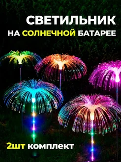 Отзыв на 