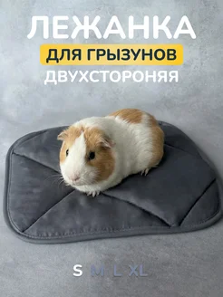 Отзыв на 