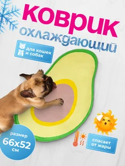 Отзыв на 