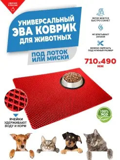 Отзыв на 
